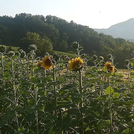 E Tranquillita A Fucicchie *