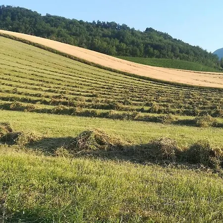 Apartment E Tranquillita A Fucicchie Cagli